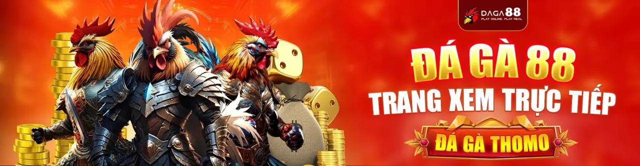 Sân đá gà trực tuyến kịch tính tại win55 nhà cái