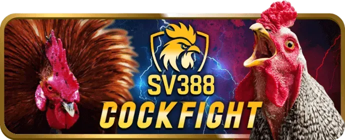 Hình ảnh khuyến mãi hoàn trả hàng ngày tại win55 nhà cái
